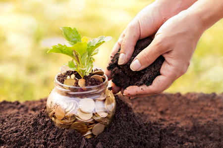 Woman hands covering money jar with soilの写真素材