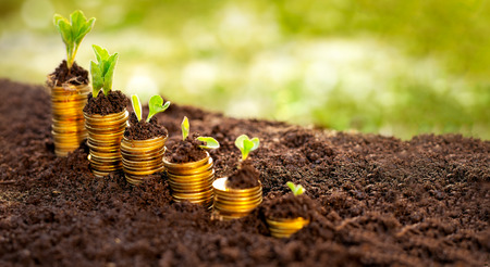 Gold coins in soil with young plant, financial metaphorの写真素材