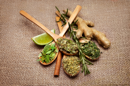 Different kind of tea leafs in wooden spoons with ginger and lime on the tableの写真素材