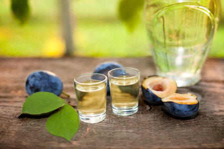 Plum brandy slivovitsa in shot glasses with plumsの写真素材