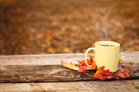 Tea cup with leaves in autumn on wooden surface in the forestの写真素材