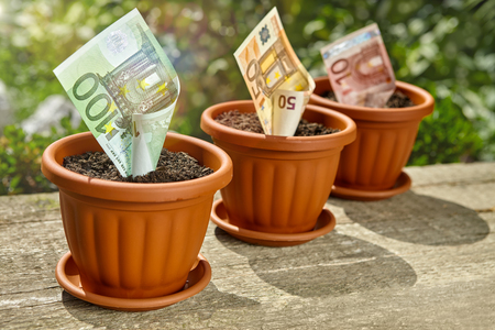 Money growing concept,bill stuck in pot with soilの写真素材