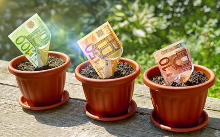 Three euro banknotes in flowerpots on wooden surfaceの写真素材