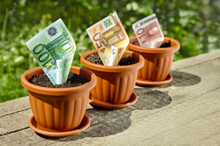 Growing money concept with rolled euro bills in flowerpotsの写真素材