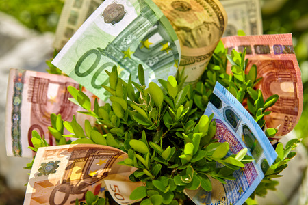 Close up of bush with euro and dollar money billsの写真素材