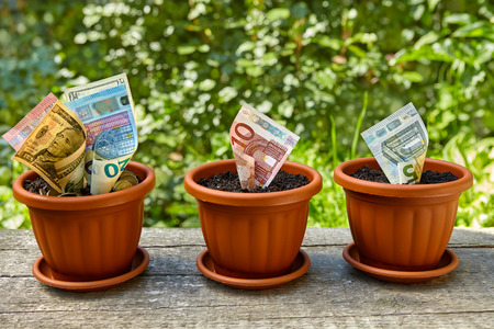 Dollar and euro bills growing in flowerpots with soilの写真素材