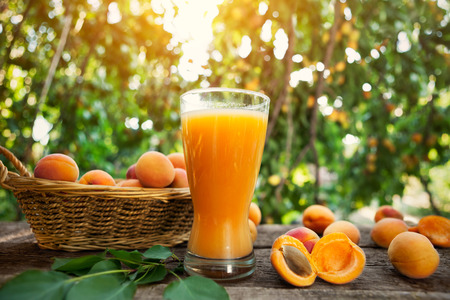 Fresh juice from apricots in long glass with apricots on the table and wicker basketの写真素材