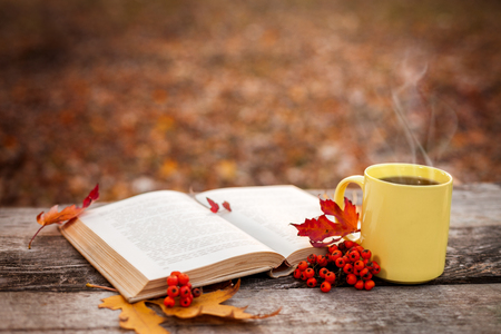 Book with open pages and cup with hot tea and red berries on wooden surfaceの写真素材