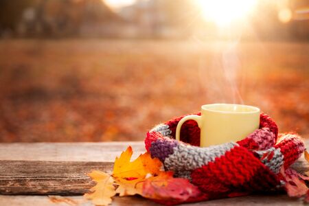 Tea mug and warm red scarf with fallen leaves on wooden surfaceの写真素材