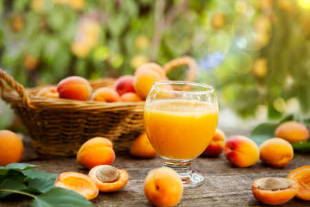Delicious apricot juice in glass with apricots on the tableの写真素材