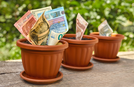 Money growing in pot filled with soil and coinsの写真素材