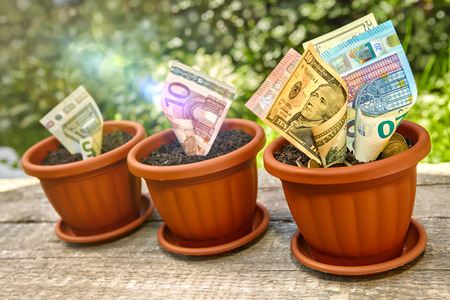 Banknotes growing in flowerpot with soil and coinsの写真素材