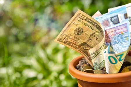 Money currency and coins stuck in soil in flowerpotの写真素材