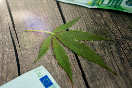 Marijuana leaf and money on the tableの写真素材