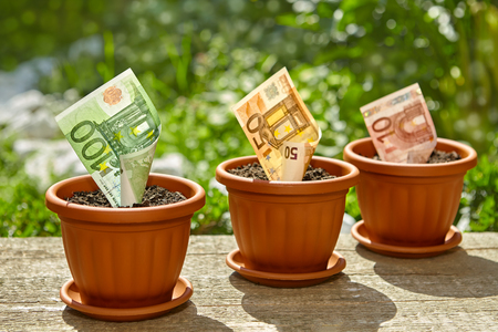 Stacks of euro bills growing in flowerpots on wooden surfaceの写真素材