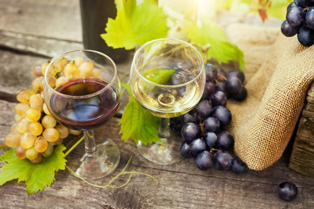 Tasty red and white wine in glasses with fresh grapes on wooden tableの写真素材
