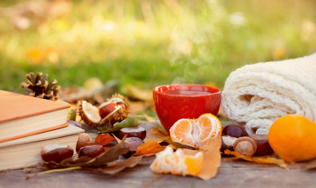 Autumn fallen leaves, books with hot drink and citrusの写真素材