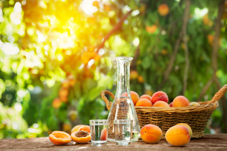 Shot glass with apricot brandy,bottle and apricots on the tableの写真素材