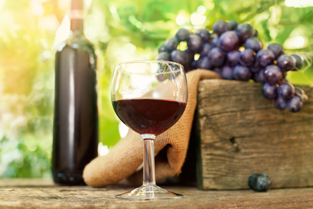 Glass of delicious red wine with grapes and bottle in the backgroundの写真素材