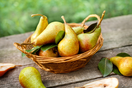 Fresh picked pears in wicker basket on wooden tableの写真素材