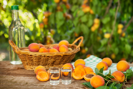 Fruit brandy and raw apricots on wooden tableの写真素材