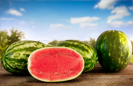 Sliced watermelon with whole watermelons on the tableの写真素材