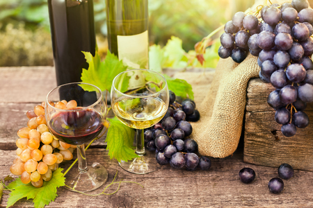 Wine glasses with red and white wine with bottle and grapes in the backgroundの写真素材