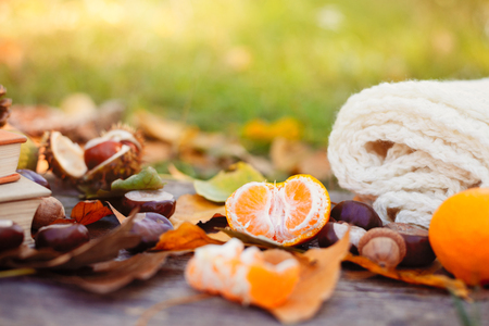 Fallen autumn leaves with warm blanket and tangerineの写真素材