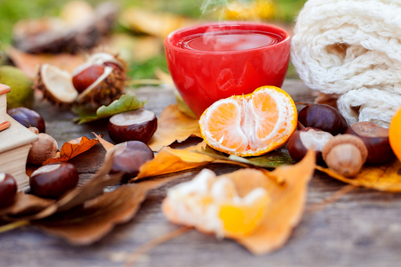 Tea cup, autumn leaves, citrus and chestnuts, flu protection seasonの写真素材