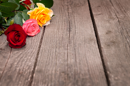 Red and white roses on wooden background. Women' s day, Valentines Day, Motherâs day, copy space, selective focus, natural optical blur.の写真素材