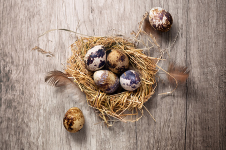 Quail Easter eggs in the nest on a wooden background, happy greeting cardの写真素材