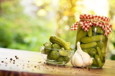 Homemade preserved and pickled organic cucumbers with garden in  the background and copy spaceの写真素材