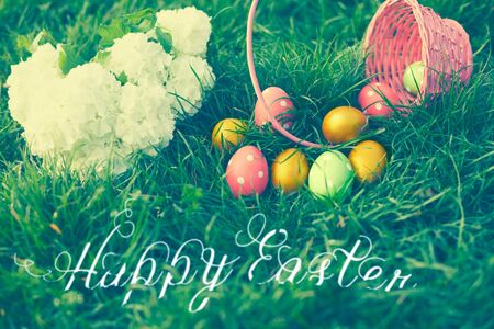 Hydrangea flower and decorated eggs on green meadow - Easter holiday background