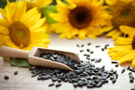 sunflower seeds and yellow sunflowers on a wooden tableの写真素材