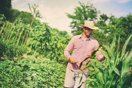 Happy farmer on his farm.  He examine his cultivation