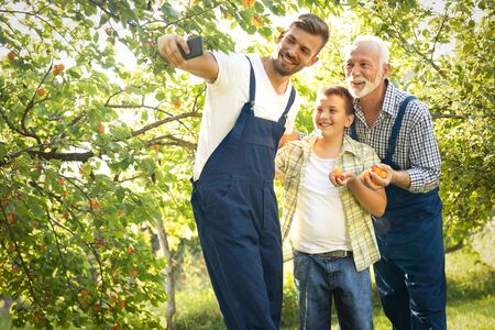 Three male generation picking apricot in orchard and make selfie with smart phone