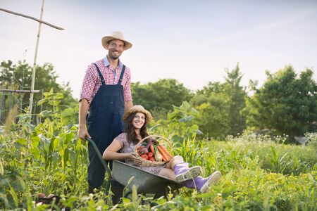 Nice couple farmer having fun in vegetable gardenの写真素材
