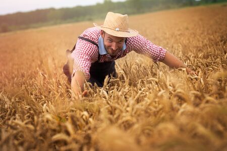 Farmer with arms raised. Wears shirt, union suit and hat. Looking at field. On background sunbeam and gold colored field.の写真素材