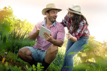 Excited couple farm workers using digital tablet checking their crops in garden.の写真素材
