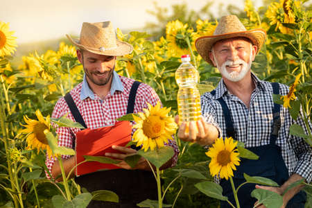 Smiling two farmers standing in sunflower field with bottle of sunflower oilの写真素材