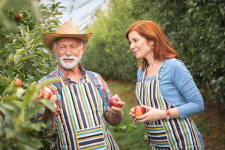 Portrait of two happy farmers in orchard