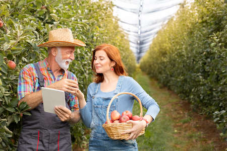 Two farmer woman and man standing in orchard with digital tabletの写真素材