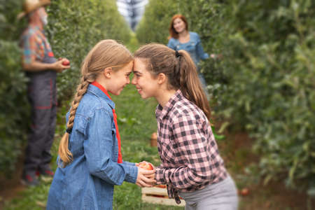Happy two sisters in apple orchard with familyの写真素材