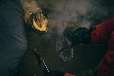 Farrier hot shoeing a hoof in the stable