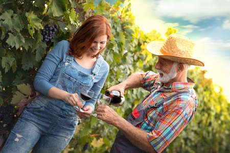 Couple drinking wine outdoor in vineyard while working on the field of grape