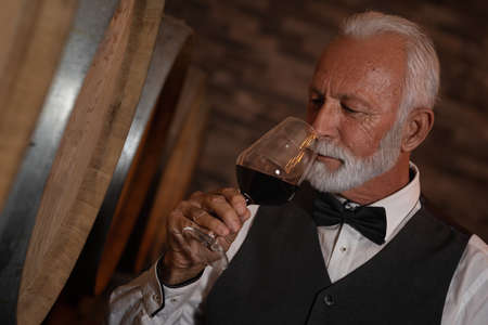 Handsome senior man standing in a wine cellar with a glass of red wineの写真素材