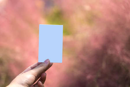 Hand holding a white  paper with pink muhly grass backgroundの写真素材