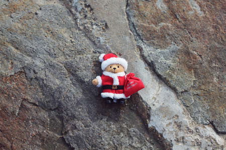 paddington bear on the groundの写真素材