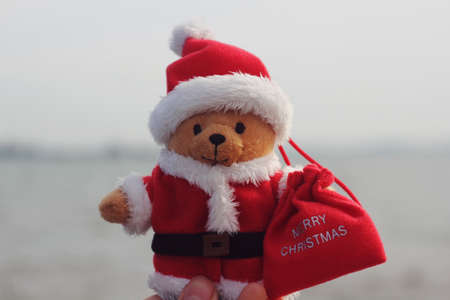 cute christmas paddington bearの写真素材