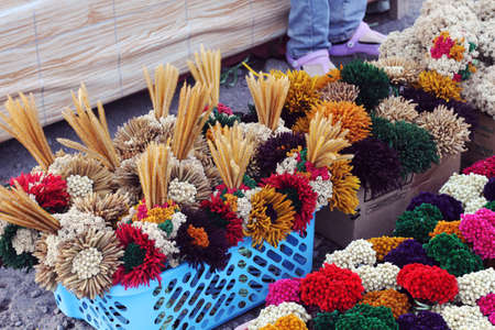 colorful indonesian edelweissの写真素材